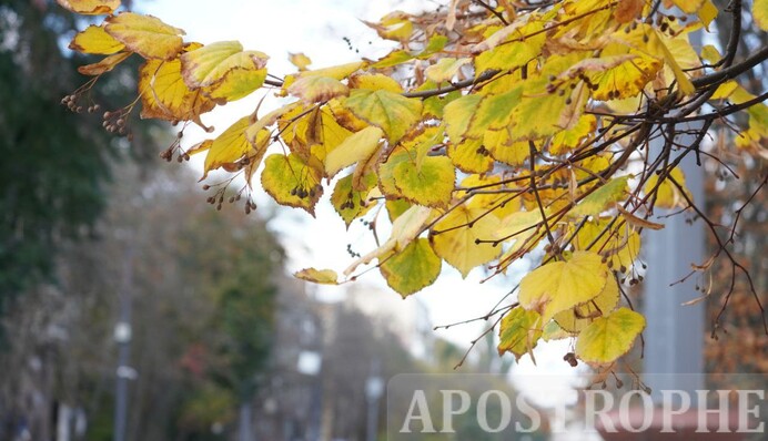 Який вигляд має Київ в останні теплі дні золотої осені: фоторепортаж