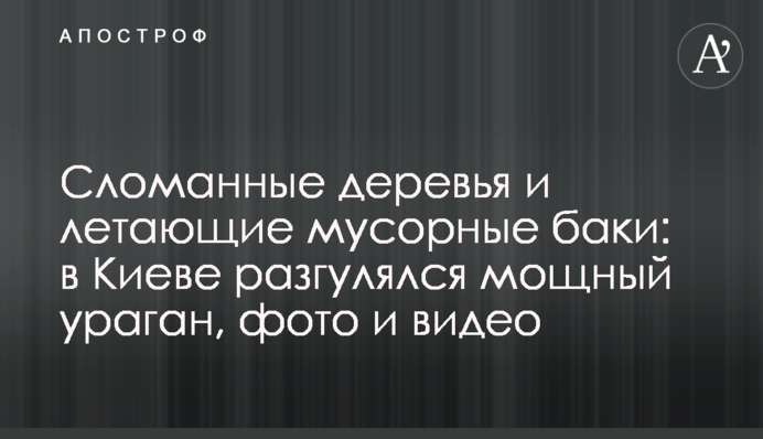 Зламані дерева і літаючі сміттєві баки: в Києві розгулявся потужний буревій, фото і відео