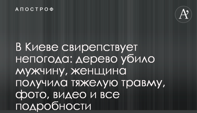 В Киеве ветряной армагеддон: непогода валит деревья, есть жертвы, фото и все подробности