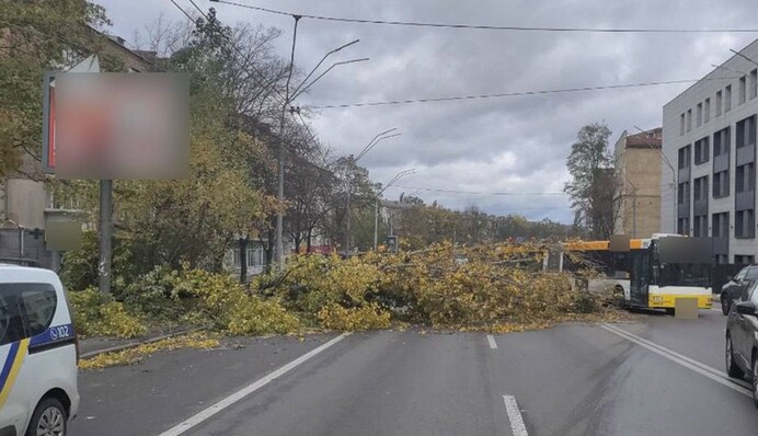 В Киеве из-за непогоды перекрыли движение транспорта: где не проехать, фото