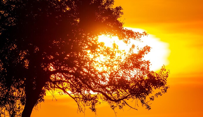 Буде сонячно, сухо, з високими градусами: прогноз погоди в Україні 29 жовтня