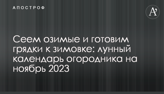 Сеем озимые и готовим грядки к зимовке: лунный календарь огородника на ноябрь 2023