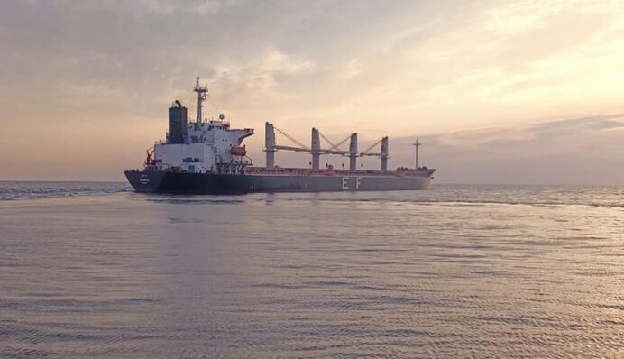 Испугался мобилизации: капитан украинского корабля отказался возвращаться из Болгарии