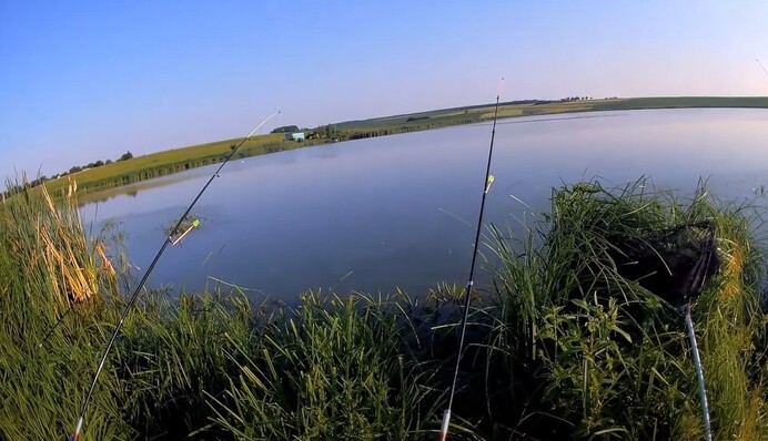 Зачепився хвостом за гачок: у Луцьку рибалка спіймав величезного коропа, фото