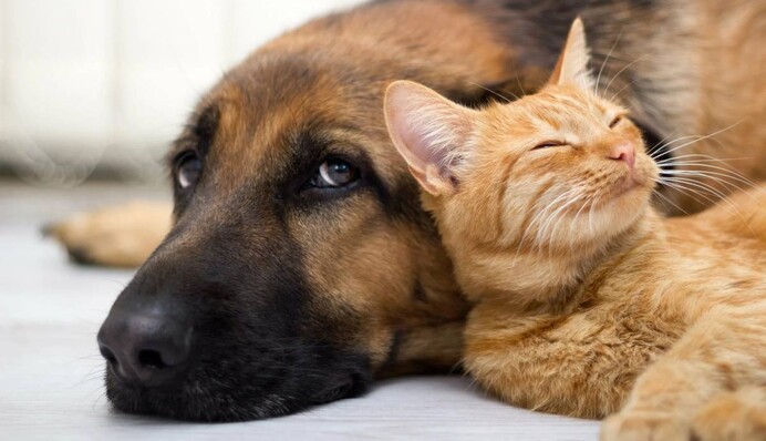 Как правильно называть 