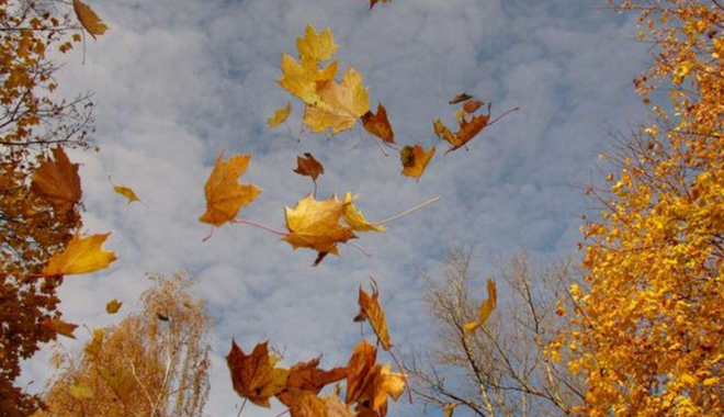 Дощі і шквальний вітер: прогноз погоди на неділю, карта