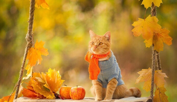 Циклон уйдет, но местами еще нальет дождей: что ждать от погоды в четверг