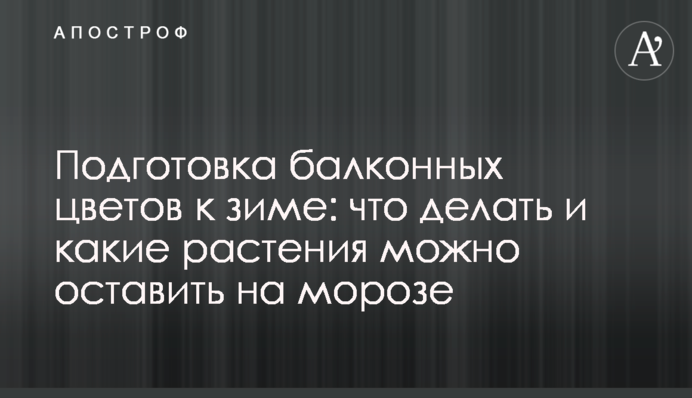 Подготовка балконных цветов к зиме: что делать и какие растения можно оставить на морозе