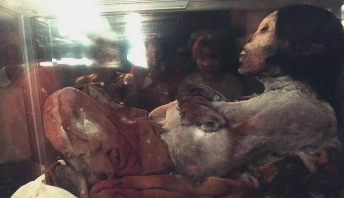 Наилучше сохранившаяся мумия в мире: как выглядела бы 