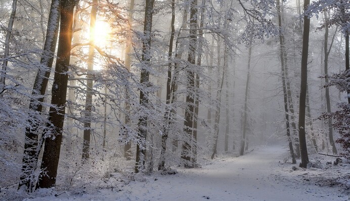 Коли в Україні почнеться справжня зима і що чекати від погоди: прогноз на три місяці