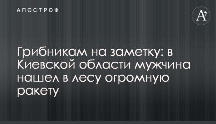 Грибникам на замітку: на Київщині чоловік знайшов у лісі величезну ракету