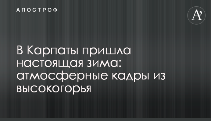 В Карпаты пришла настоящая зима: атмосферные кадры из высокогорья