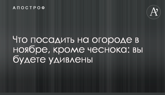 Що посадити на городі в листопаді, крім часнику: ви будете здивовані
