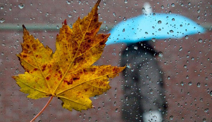 Неделя начнется дождями и сильным ветром: прогноз на понедельник, карта