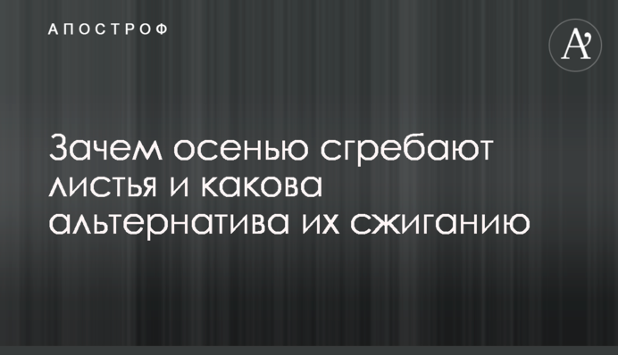 Навіщо восени згрібають листя і яка є альтернатива їх спалюванню