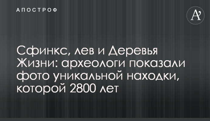 Сфинкс, лев и Деревья Жизни: археологи показали фото уникальной находки, которой 2800 лет
