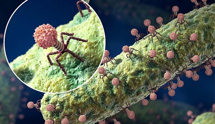 Ученые такого еще не видели: в США обнаружен первый вирус-