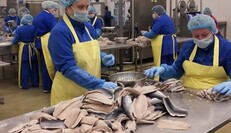 Робочих рук не вистачає: які вакансії та зарплати пропонують в Польщі без знання мови