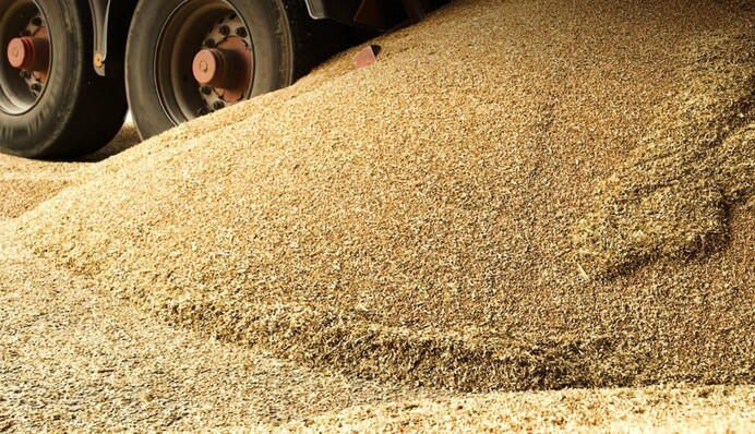 Валюта від продажу зерна осідає за кордоном: розкрито деталі