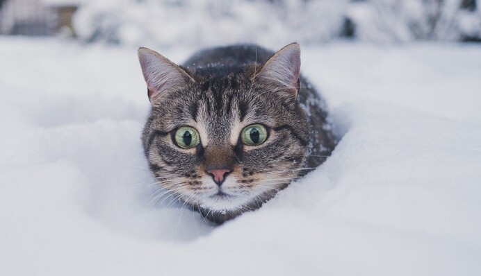 Настоящая зима уже на пороге: в Украину идет похолодание с сильными морозами