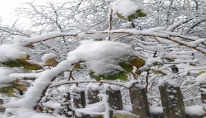 Вы - те, кто ведет нас к победе! Командование поздравило сержантов ВСУ с праздником