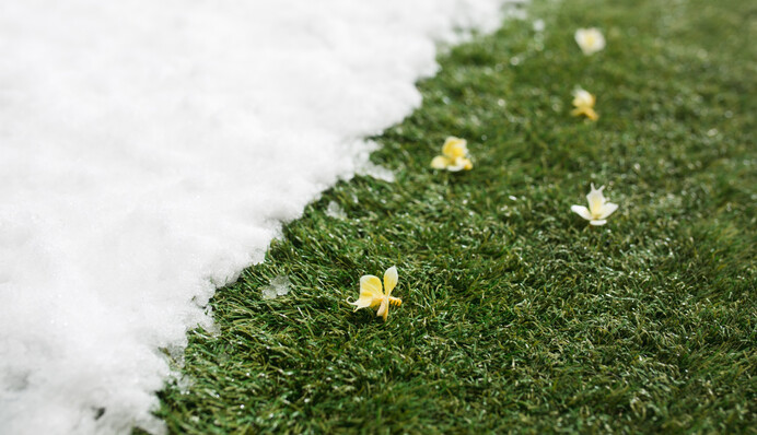 Аномальне потепління в Україні посилиться: кліматолог дала прогноз погоди на зиму