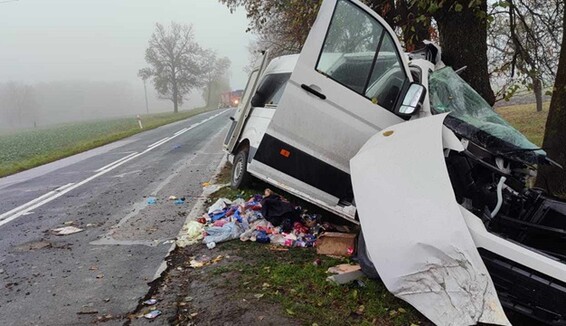 В Польщі розбився автобус з українцями, серед загиблих дитина: подробиці  аварії