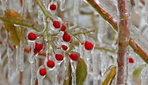 Україну накриє сніг з дощем, морози посиляться: прогноз синоптиків на понеділок
