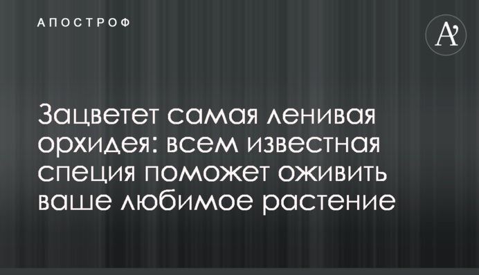 Зацвіте найлінивіша орхідея: всім відома спеція допоможе оживити вашу улюблену рослину