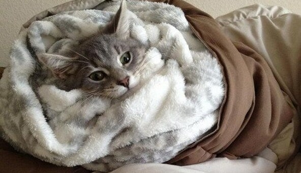 У Києві різко зміниться погода: прогноз до кінця тижня