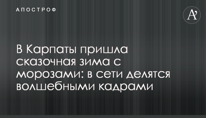 В Карпати прийшла казкова зима з морозами: в мережі діляться чарівними кадрами
