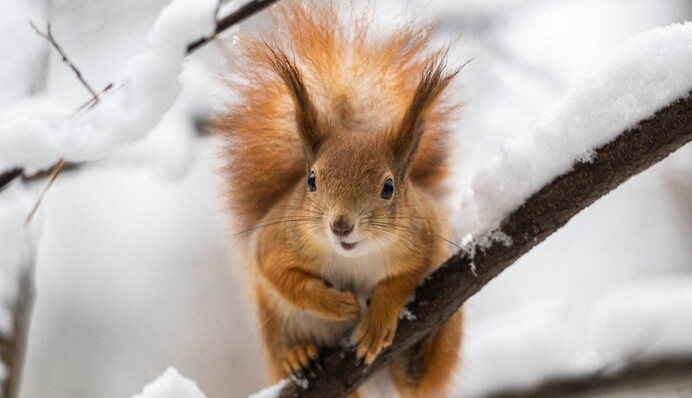 Местами будет дождь и снег: прогноз погоды в Украине в пятницу