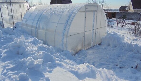 Что делать, если теплицу сломал снег: лайфхак в зимний период