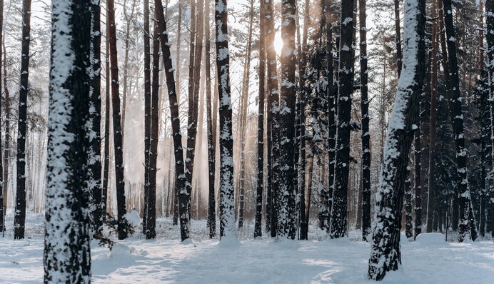 Будьте обережні на дорогах: карта і прогноз погоди на неділю