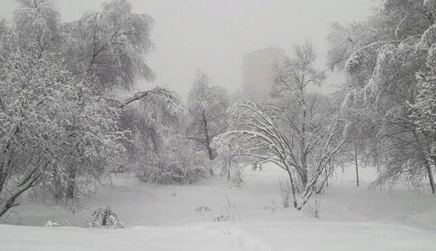 Часть Украины накроют мощные снегопады: синоптики дали важное предупреждение, карта