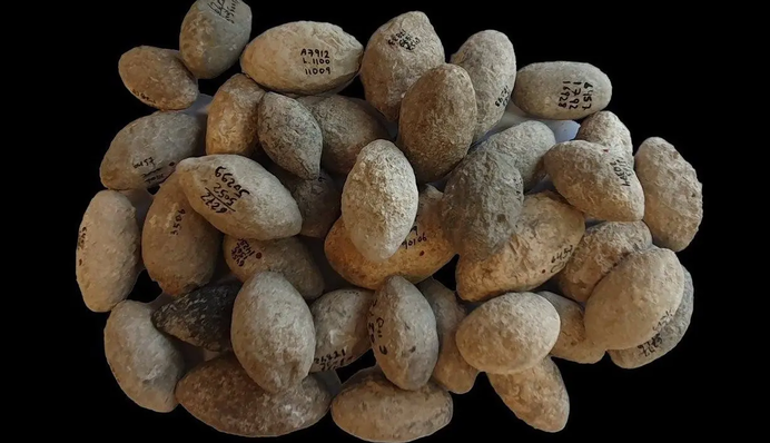 В Ізраїлі знайшли найстаріший у світі завод з виробництва зброї:  фото доісторичних боєприпасів