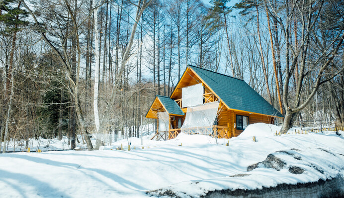 Не поспішайте до міста: список справ, що слід зробити на дачі в грудні