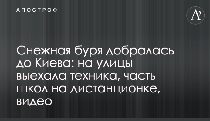 Сніжна буря дісталася Києва: на вулиці виїхала техніка, частина шкіл на дистанційці, відео