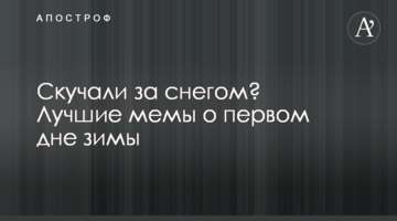 Скучали за снегом? Лучшие мемы о первом дне зимы