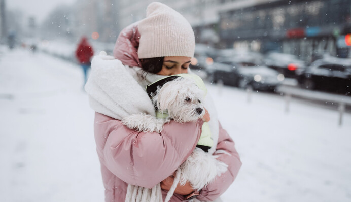 Морозы до -18 и штормовой ветер: синоптик предупредил о новом похолодании