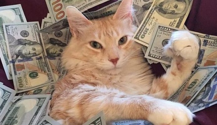 Розбагатіють і отримають все, про що мріяли: рік Дракона принесе процвітання чотирьом знакам