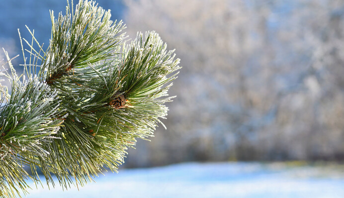 Стовпчики термометрів поповзуть вниз: що чекати від погоди з наступного тижня