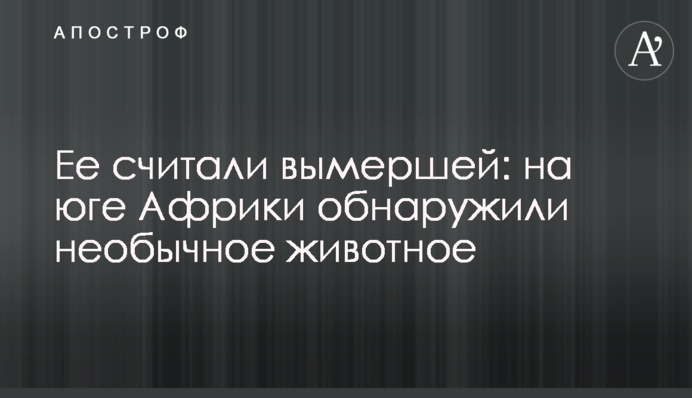Її вважали вимерлою: на півдні Африки виявили незвичайну тварину