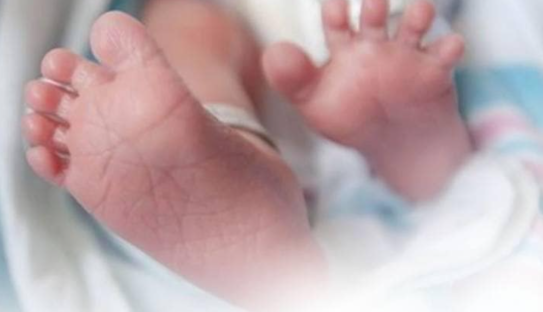 В Ровно женщина родила 17-го ребенка: теперь в семье 8 девочек и 9 мальчиков