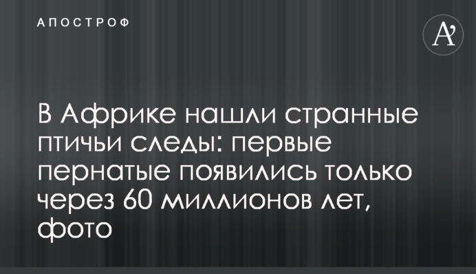 В Африці знайшли дивні пташині сліди:  перші пернаті з’явилися лише через 60 мільйонів років, фото