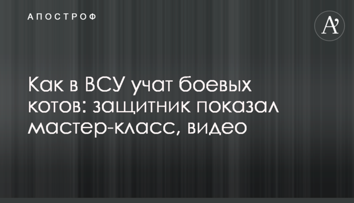 Как в ВСУ учат боевых котов: защитник показал мастер-класс, видео