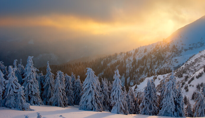 В Украину идут морозы со снегом и ледяным дождем: где в четверг будет сложная погода, карты