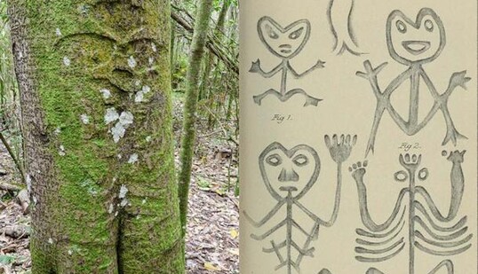 Унікальна спадщина під загрозою зникнення: як виглядають різьблення на дереві Ракау Моморі, фото