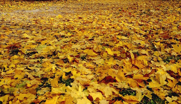 Говорим по-украински правильно: где надо ставить ударение в слове 