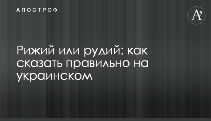 Рижий чи рудий: як сказати правильно українською